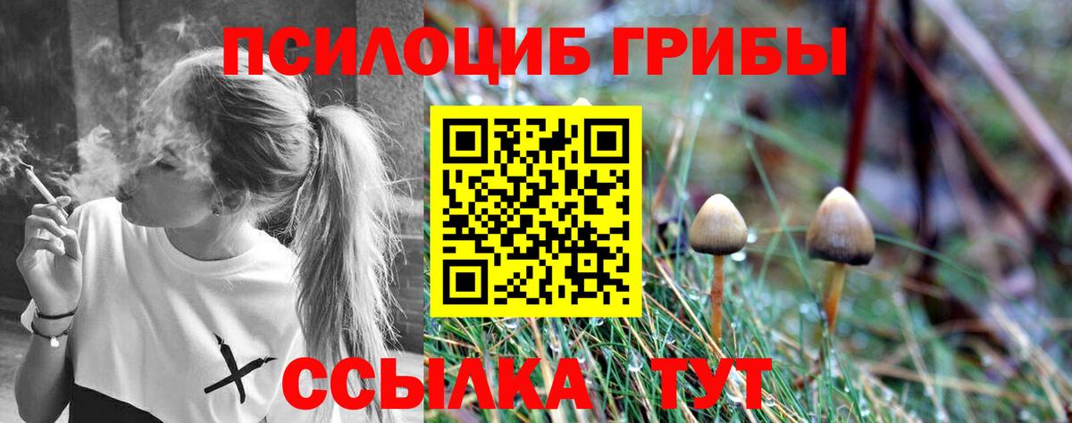 Галлюциногенные грибы мицелий Кунгур